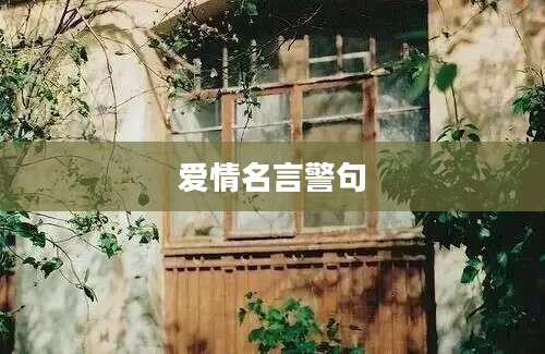爱情名言警句