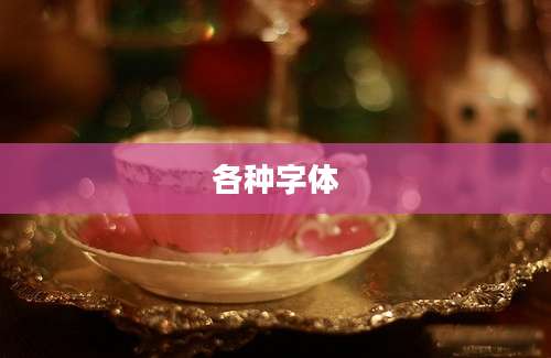 各种字体