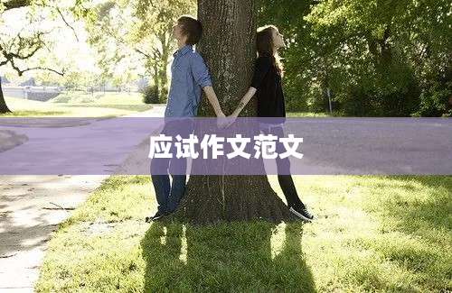 应试作文范文