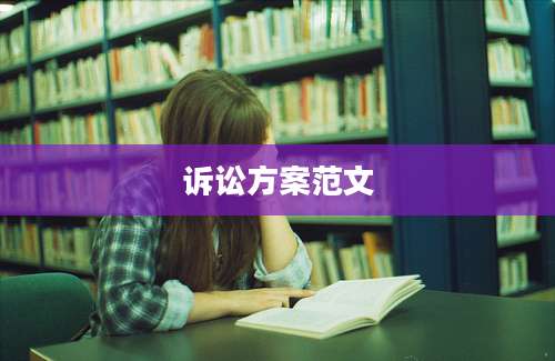 诉讼方案范文