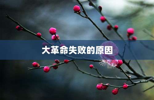大革命失败的原因