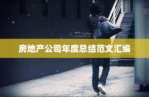房地产公司年度总结范文汇编