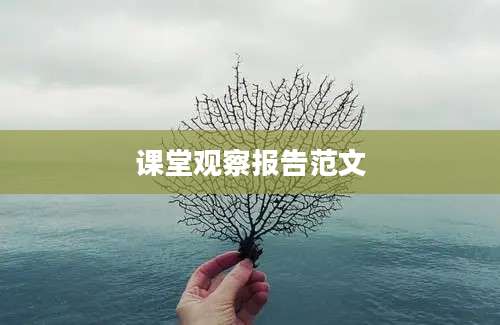 课堂观察报告范文