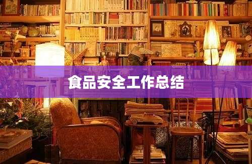 食品安全工作总结