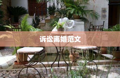 诉讼离婚范文