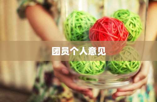 团员个人意见