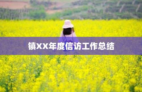 镇XX年度信访工作总结