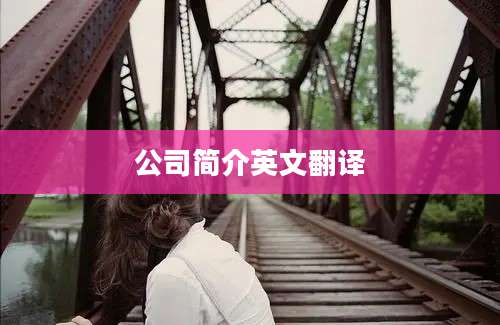 公司简介英文翻译