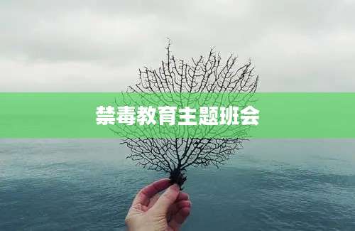 禁毒教育主题班会