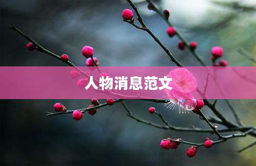 人物消息范文
