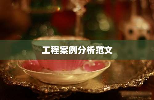 工程案例分析范文