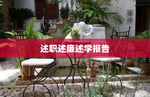 述职述廉述学报告