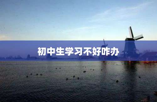 初中生学习不好咋办