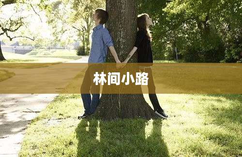 林间小路