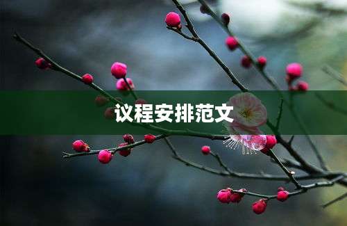 议程安排范文