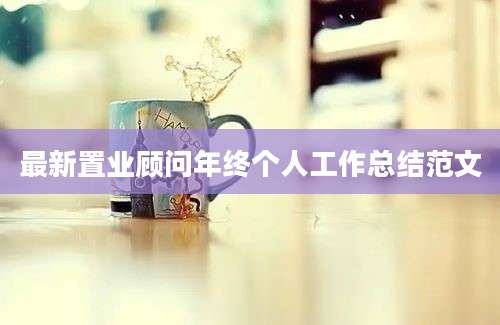 最新置业顾问年终个人工作总结范文