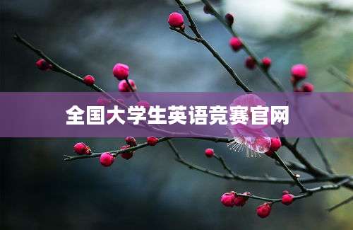 全国大学生英语竞赛官网