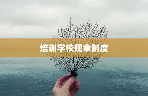 培训学校规章制度