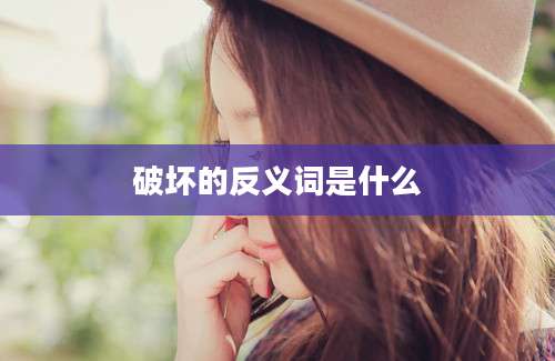 破坏的反义词是什么