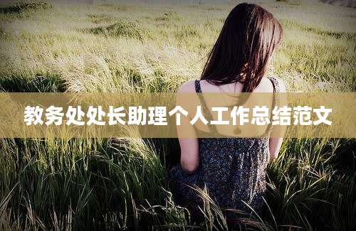 教务处处长助理个人工作总结范文