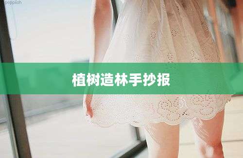 植树造林手抄报