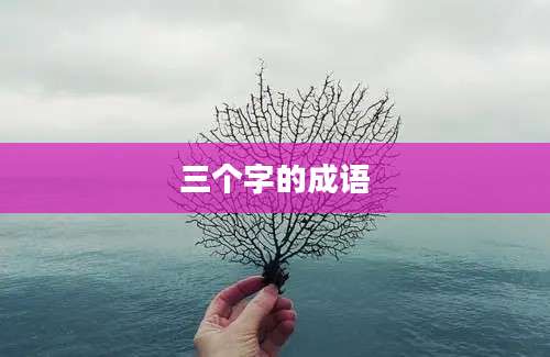 三个字的成语