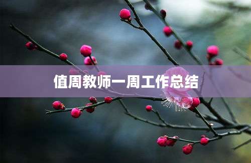值周教师一周工作总结