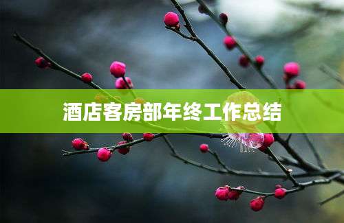 酒店客房部年终工作总结