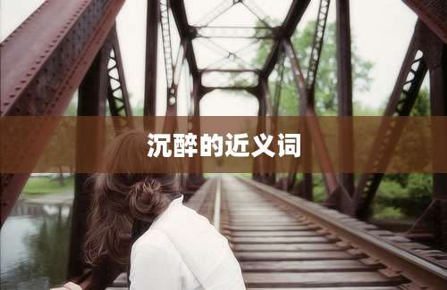 沉醉的近义词