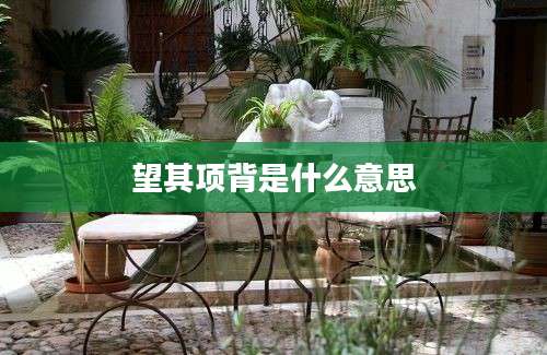 望其项背是什么意思