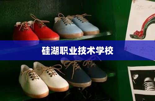 硅湖职业技术学校