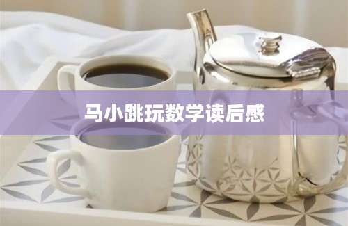 马小跳玩数学读后感