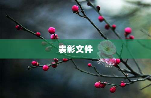 表彰文件