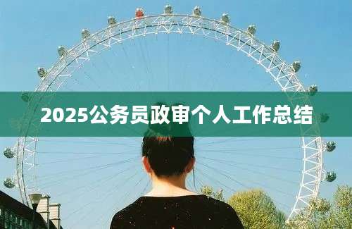 2025公务员政审个人工作总结