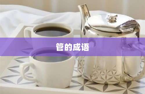 管的成语