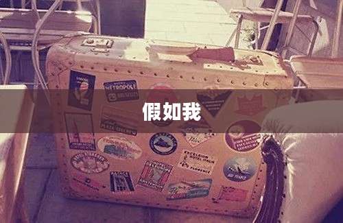 假如我