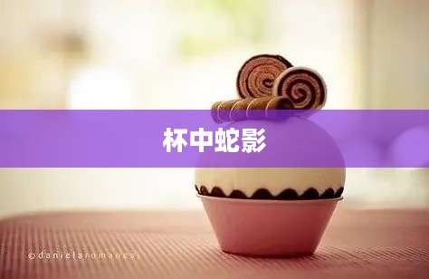 杯中蛇影