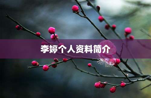 李婷个人资料简介