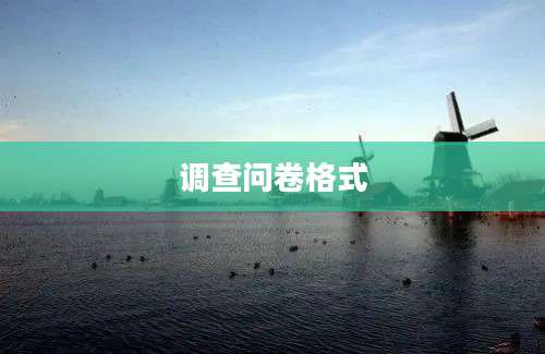 调查问卷格式