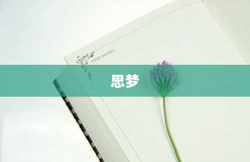 思梦