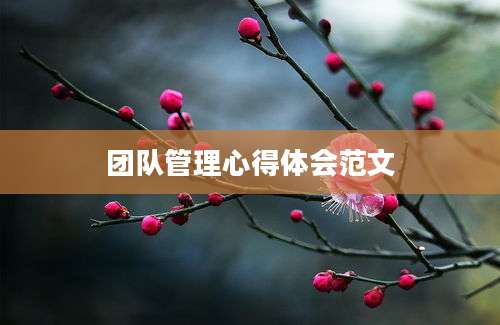 团队管理心得体会范文