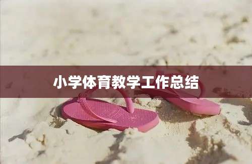 小学体育教学工作总结