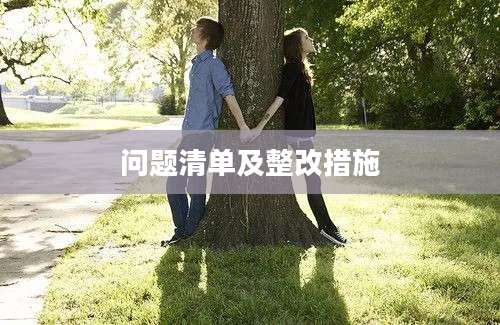 问题清单及整改措施