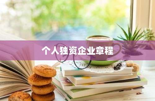 个人独资企业章程