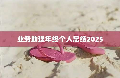 业务助理年终个人总结2025