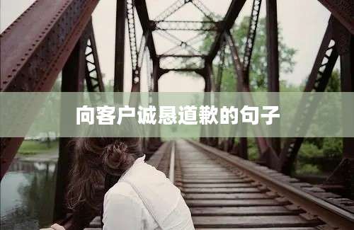 向客户诚恳道歉的句子