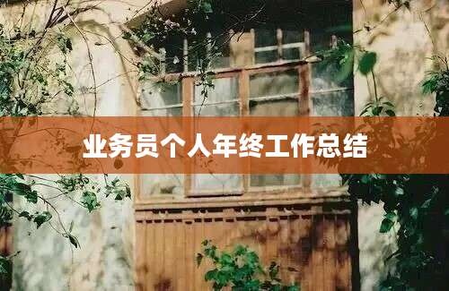 业务员个人年终工作总结