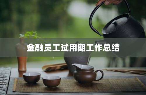 金融员工试用期工作总结