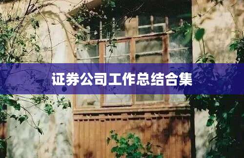 证券公司工作总结合集