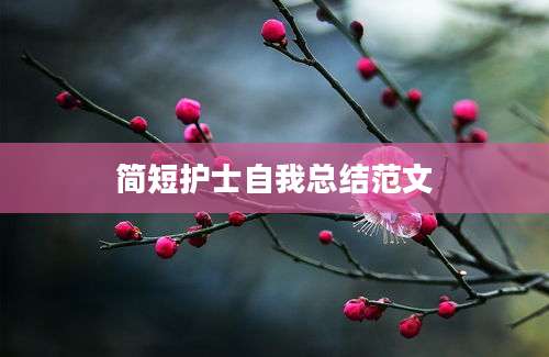 简短护士自我总结范文
